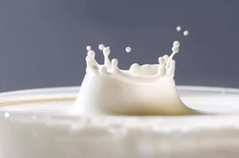 什么樣的牛初乳更適合